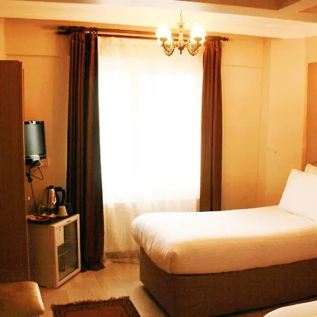 Angel'S Inn Hotel 酒店 *